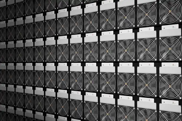 Understanding mining farm operations in Australia