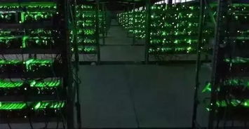 Mining farm overview showcasing diverse cryptocurrencies