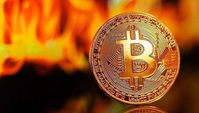 A sprawling mining farm with rows of mining rigs